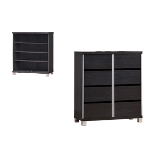 SC-242-EPS 2 Doors Shoe Cabinet